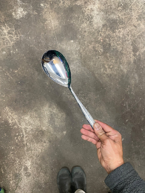Stainless Serving Spoon