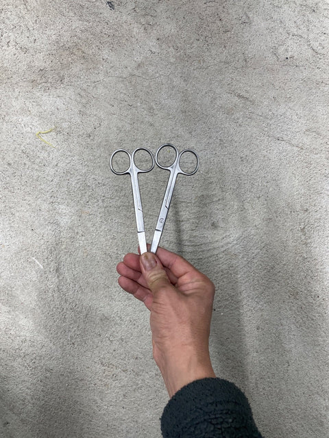 Stainless Steel Dissecting Scissors