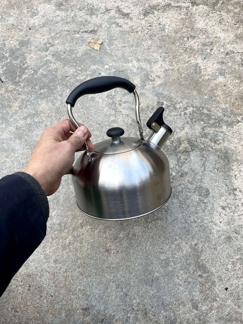 Stainless Steel Tea Kettle