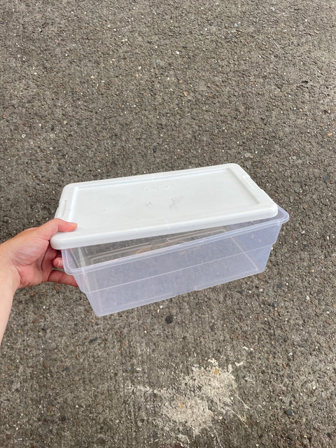 Sterilite Storage Container