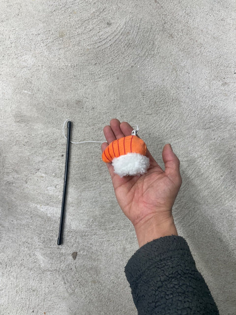 Sushi Cat Teaser