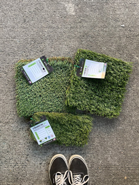 SynLawn Artificial Turf Samples