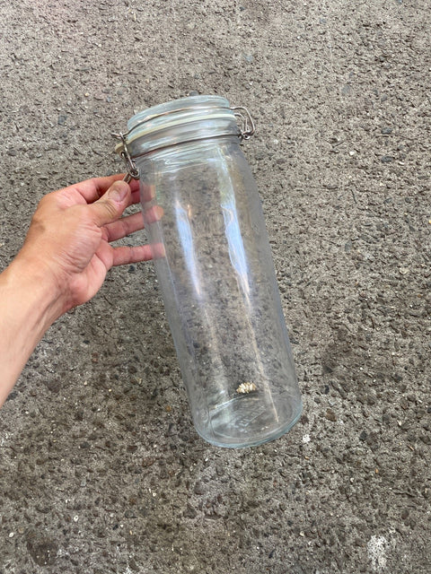 Tallass Glass Storage Jar