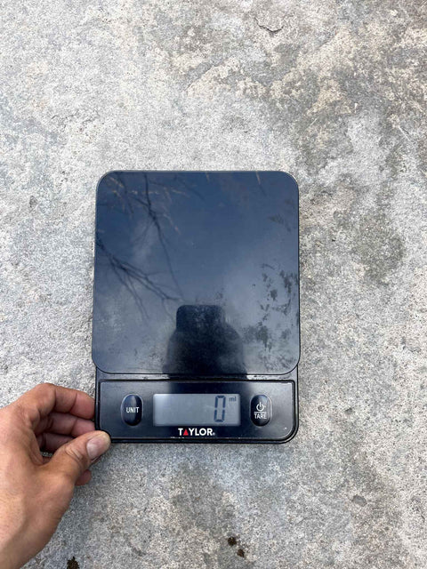 Taylor Digital Scale