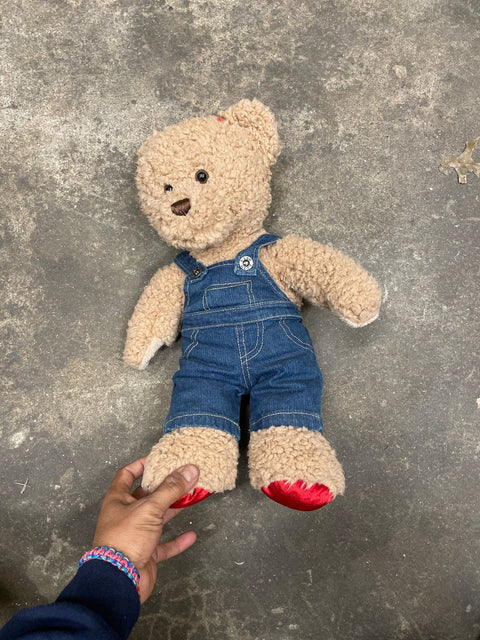 Teddy Bear In Overalls