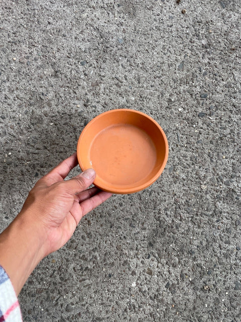 Terra Cotta Plant Saucer