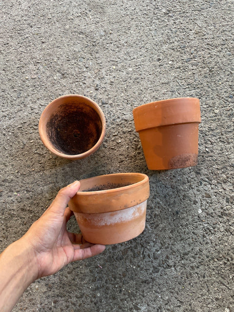 Terra Cotta Pots 1