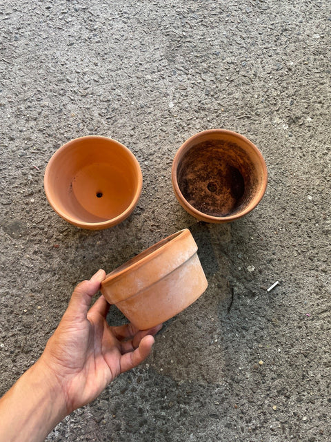 Terracotta Flower Pots