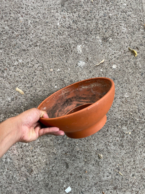 Terracotta Plant Pot