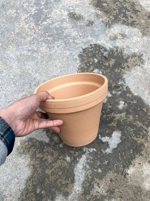 Terracotta Plant Pot