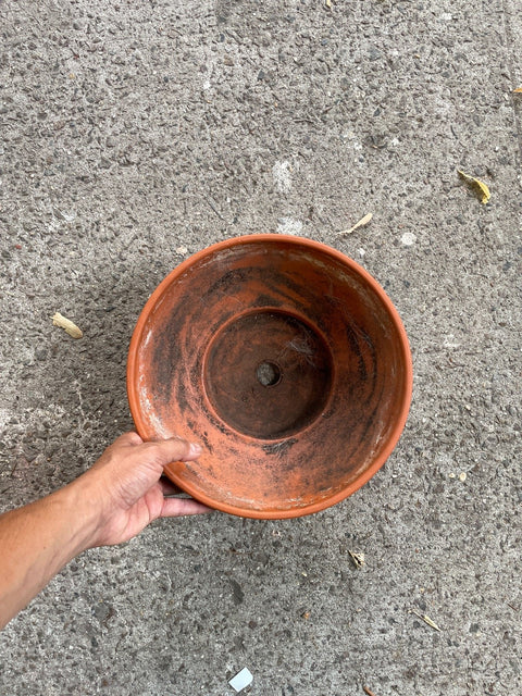 Terracotta Plant Pot
