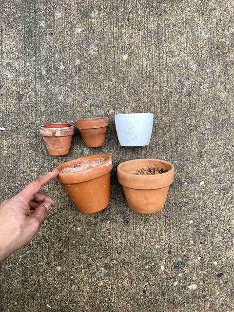 Terracotta Plant Pots Set