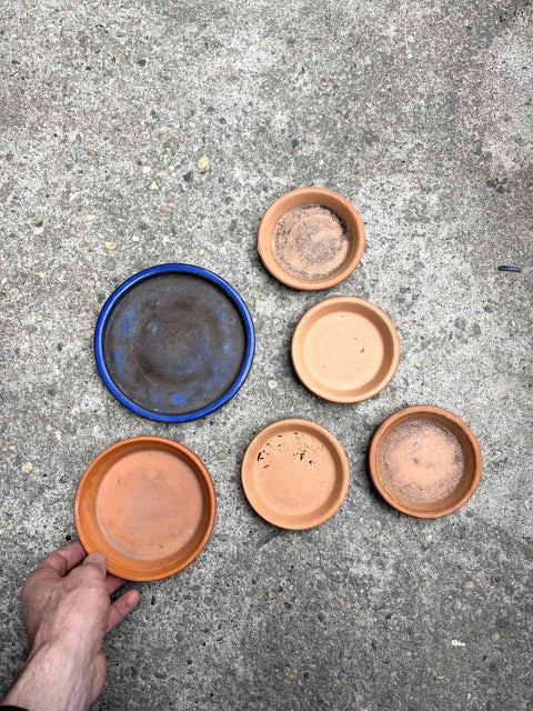 Terracotta Plant Saucer Set