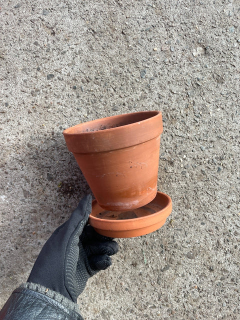 Terracotta Pot And Saucer, 5.5 in