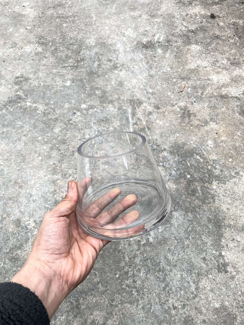 Terrarium-stye Clear Glass Vase