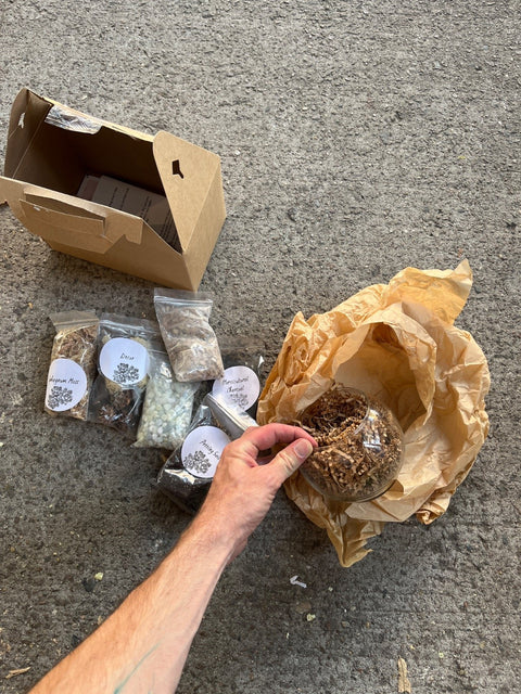 Terrarium Starter Kit