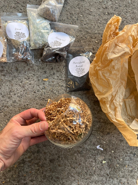 Terrarium Starter Kit