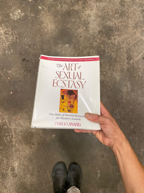 The Art Of Ecstasy