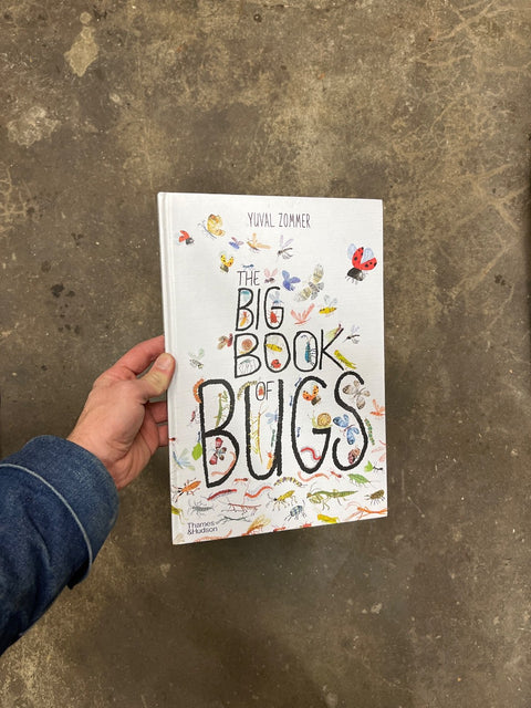 The Big Book Of Bugs, A Very Pretty Illustrated Book
