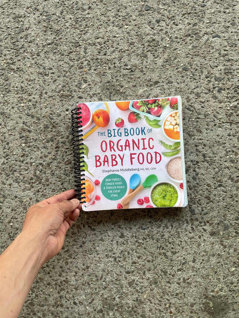 The Big Book of Baby Food