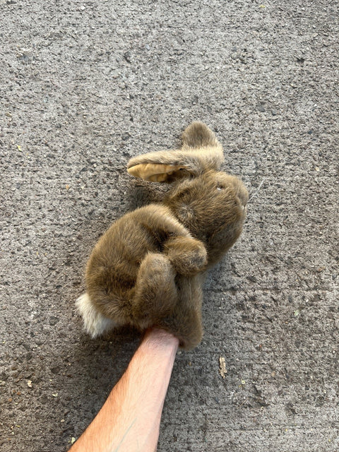 The Cutest Bunny Muppet