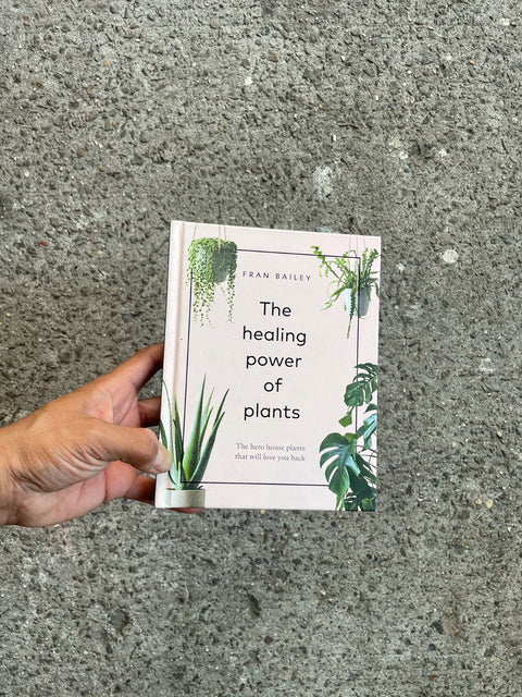 The Healing Power Of Plants