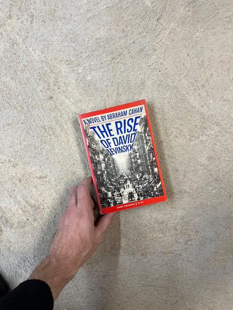 The Rise Of David Levinsky By Abraham Cahan