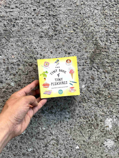 The Tiny Book of Pleasures