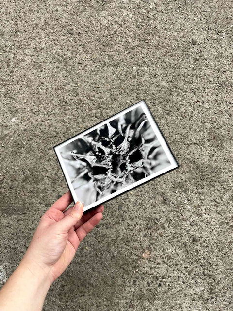 Thin Black Frame