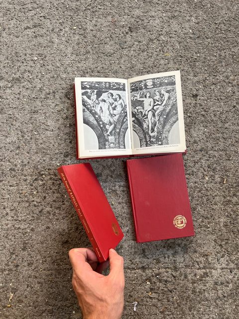 Three Pretty Art Books Of Raphael