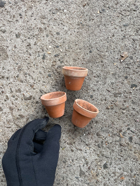 Tinnny Littleee Terracotta Planting Pots