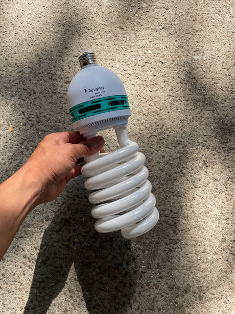 Top Lighting Photo Bulb