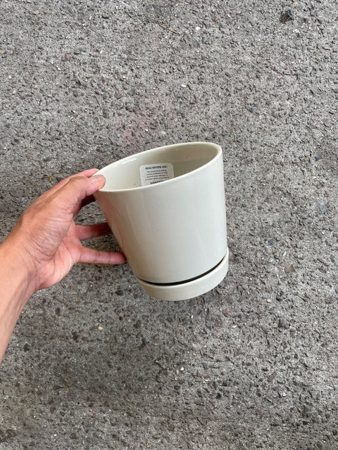 Trendspot Planter With Saucer
