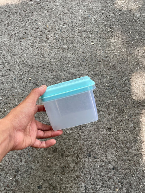 Turquoise Lid Food Container