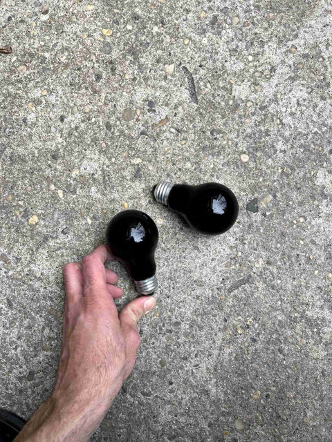 Two Black Light Bulbs