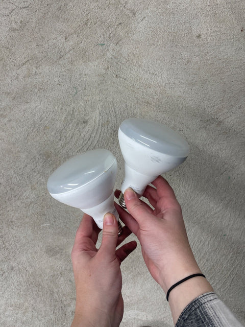 Two Flood Light Bulbs, Tested