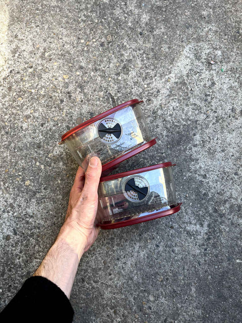 Two Food Storage Containers To Keep Things Fresh