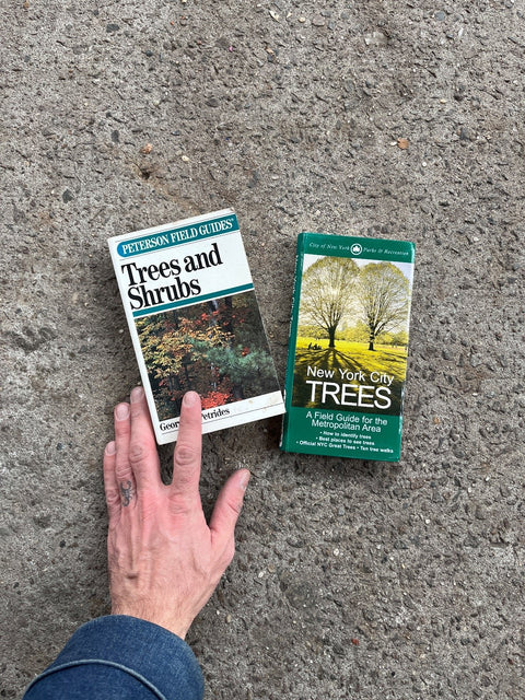 Two Fun Tree Guides