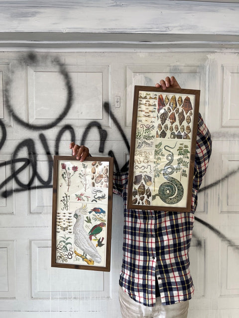 Two Nature Collages Frame, 11x21" Each