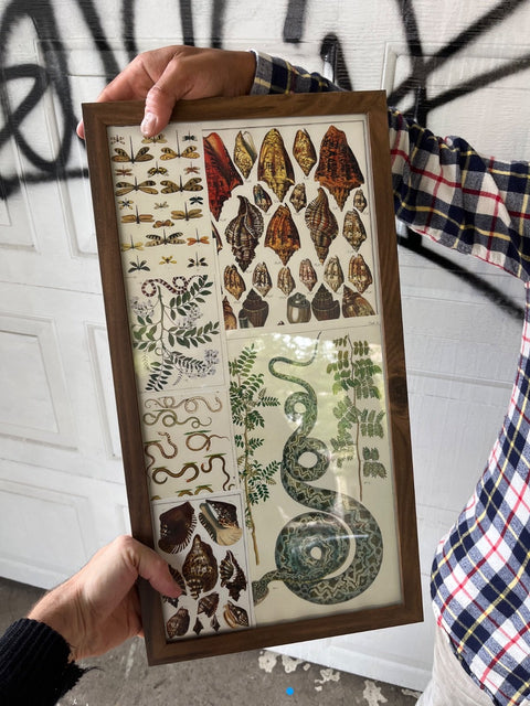 Two Nature Collages Frame, 11x21" Each