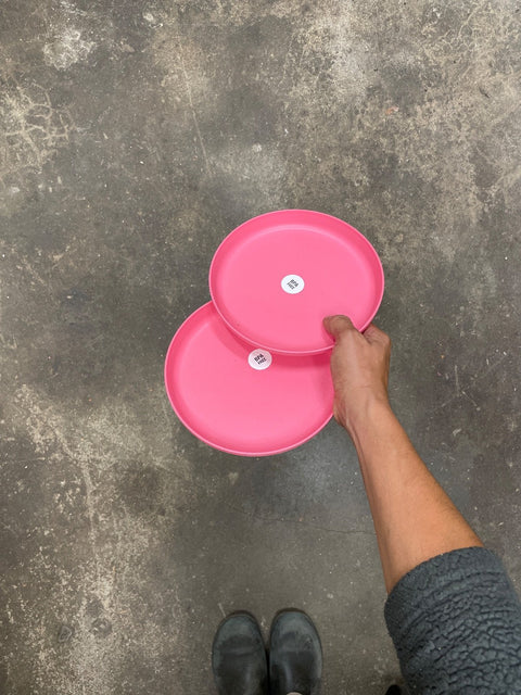 Two Pink Dinner Plates
