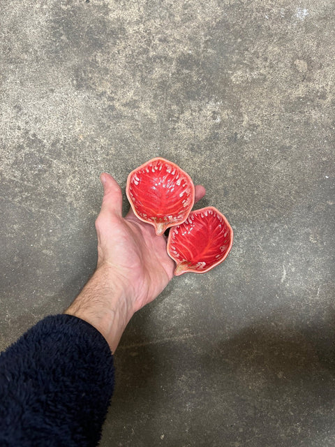 Two Pretty Red Leaf Ceramic Dishes
