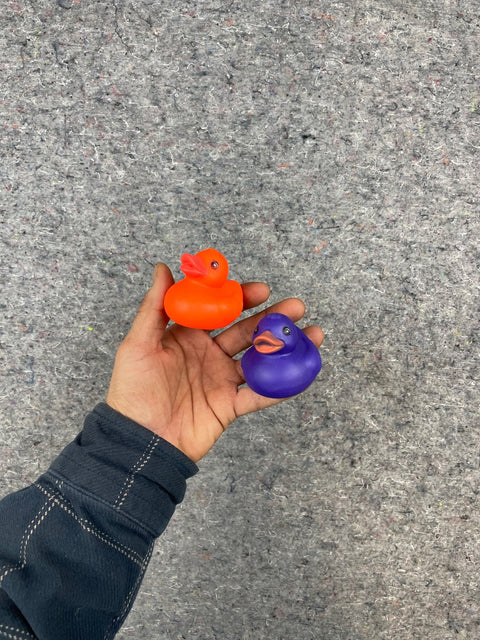 Two Rubber Ducks