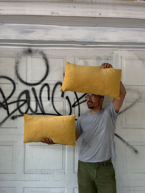 Two Sunshine Yellow Throw Pillows