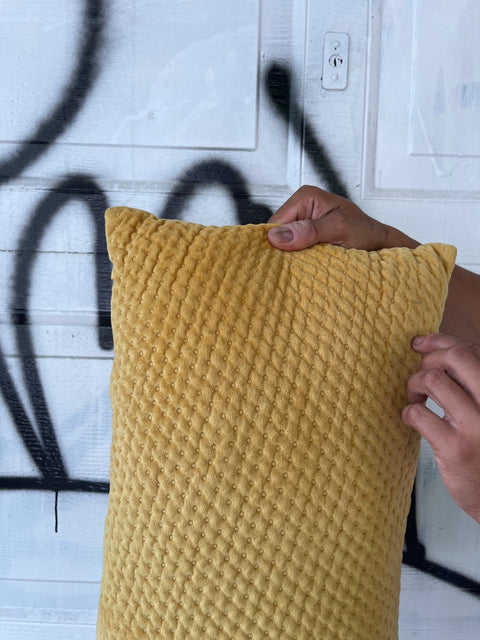Two Sunshine Yellow Throw Pillows