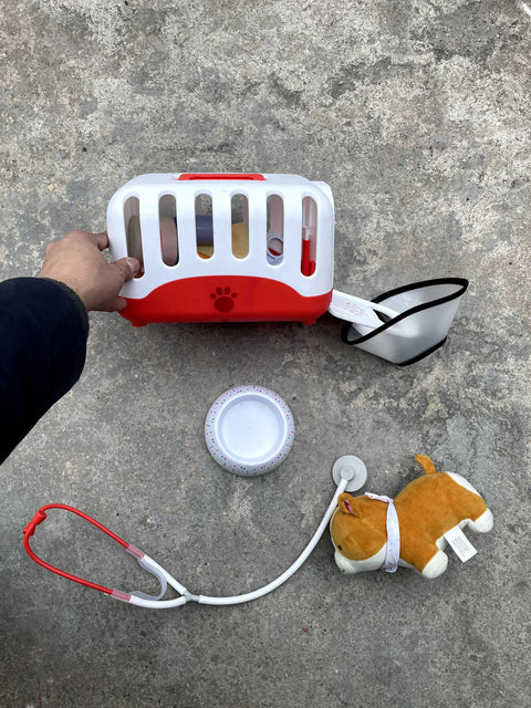 Veterinarian Play Set