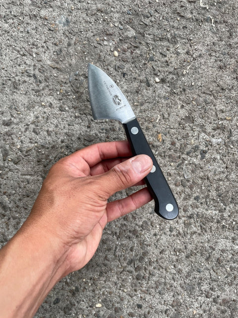 Victorinox Paring Knife