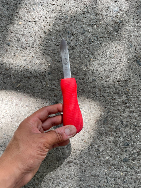Victorinox Red Oyster Knife