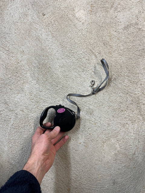 Walker Club Retractable Cat Leash