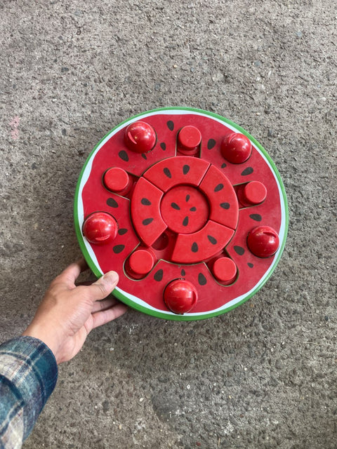 Watermelon Dog Treat Box
